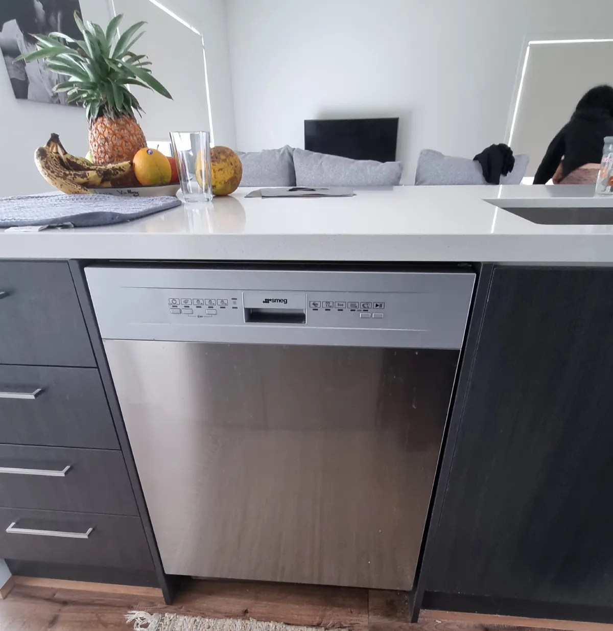 Smeg Dishwasher 1